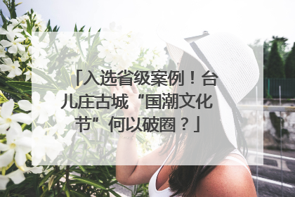 入选省级案例！台儿庄古城“国潮文化节”何以破圈？