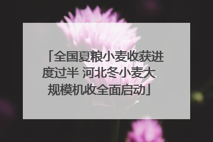全国夏粮小麦收获进度过半 河北冬小麦大规模机收全面启动
