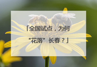全国试点，为何“花落”长春？