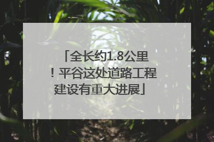 全长约1.8公里！平谷这处道路工程建设有重大进展
