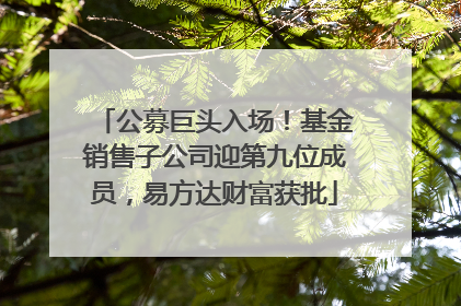 公募巨头入场！基金销售子公司迎第九位成员，易方达财富获批