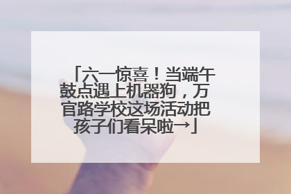 六一惊喜！当端午鼓点遇上机器狗，万官路学校这场活动把孩子们看呆啦→