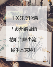 关注度拉满！苏州渭塘镇精准治理小流域生态环境