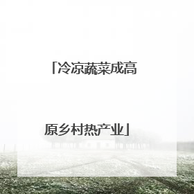 冷凉蔬菜成高原乡村热产业