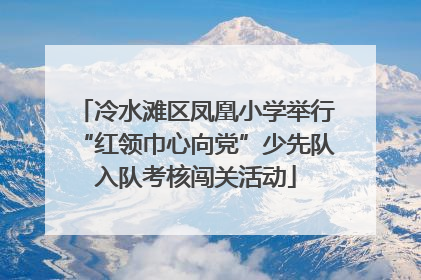 冷水滩区凤凰小学举行“红领巾心向党”少先队入队考核闯关活动