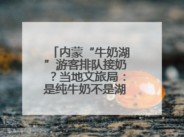 内蒙“牛奶湖”游客排队接奶？当地文旅局：是纯牛奶不是湖水，可放心喝