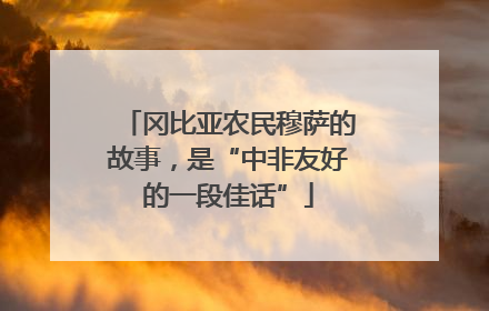 冈比亚农民穆萨的故事，是“中非友好的一段佳话”