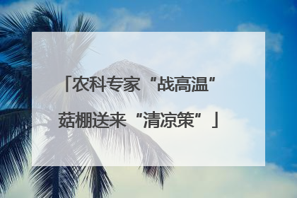 农科专家“战高温” 菇棚送来“清凉策”