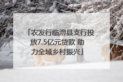 农发行临澧县支行投放7.5亿元贷款 助力全域乡村振兴