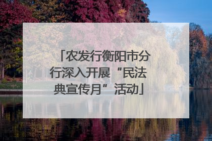 农发行衡阳市分行深入开展“民法典宣传月”活动