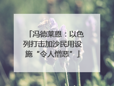 冯德莱恩：以色列打击加沙民用设施“令人憎恶”