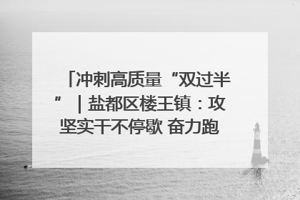 冲刺高质量“双过半”｜盐都区楼王镇：攻坚实干不停歇 奋力跑赢“上半场”