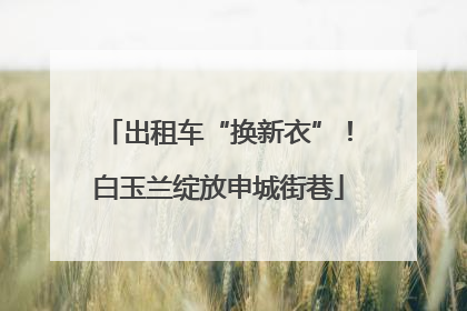出租车“换新衣”！白玉兰绽放申城街巷