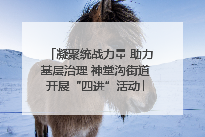 凝聚统战力量 助力基层治理 神堂沟街道开展“四进”活动