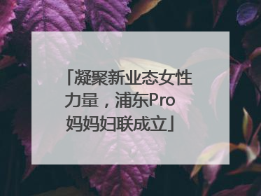 凝聚新业态女性力量，浦东Pro妈妈妇联成立