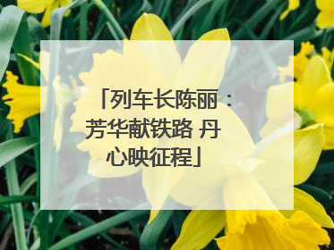 列车长陈丽：芳华献铁路 丹心映征程