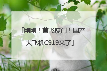 刚刚！首飞厦门！国产大飞机C919来了