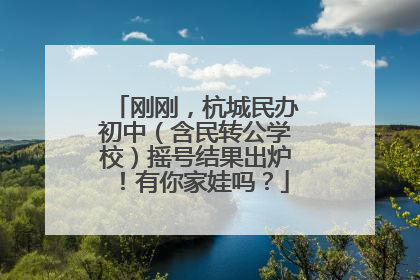 刚刚，杭城民办初中（含民转公学校）摇号结果出炉！有你家娃吗？