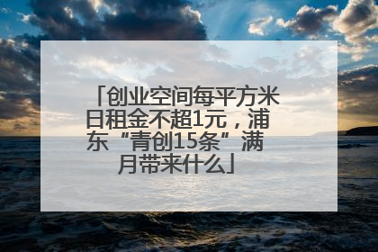 创业空间每平方米日租金不超1元，浦东“青创15条”满月带来什么