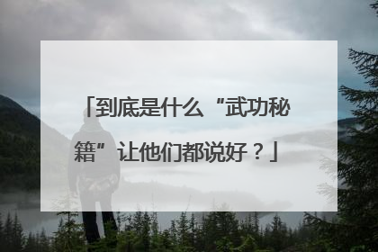 到底是什么“武功秘籍”让他们都说好？