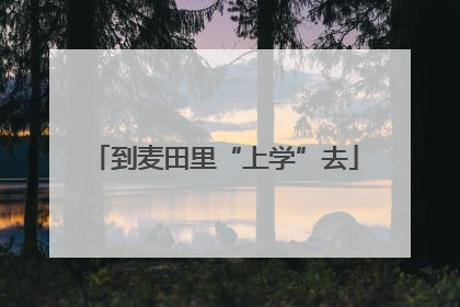 到麦田里“上学”去