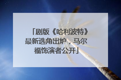 剧版《哈利波特》最新选角出炉，马尔福饰演者公开