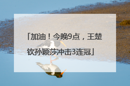 加油！今晚9点，王楚钦孙颖莎冲击3连冠