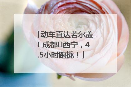 动车直达若尔盖！成都⇄西宁，4.5小时跑拢！
