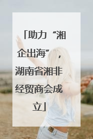 助力“湘企出海”，湖南省湘非经贸商会成立