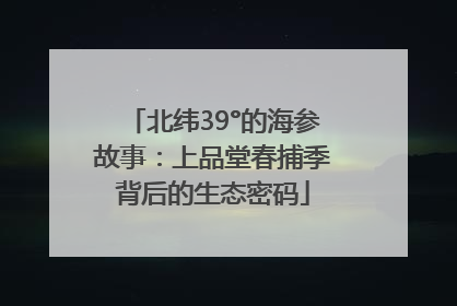 北纬39°的海参故事：上品堂春捕季背后的生态密码