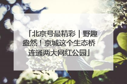 北京号最精彩｜野趣盎然！京城这个生态桥连通两大网红公园