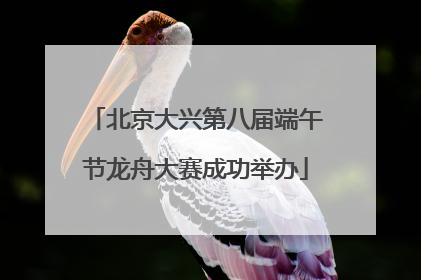北京大兴第八届端午节龙舟大赛成功举办