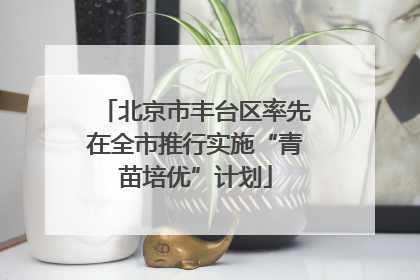 北京市丰台区率先在全市推行实施“青苗培优”计划