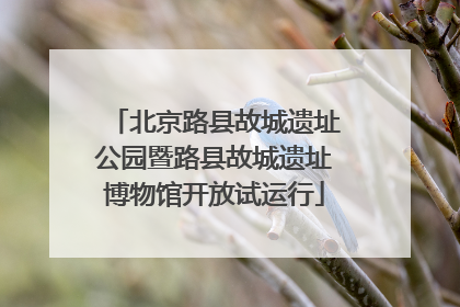 北京路县故城遗址公园暨路县故城遗址博物馆开放试运行
