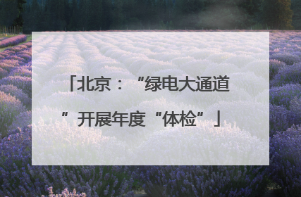 北京：“绿电大通道”开展年度“体检”
