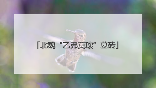 北魏“乙弗莫瓌”墓砖