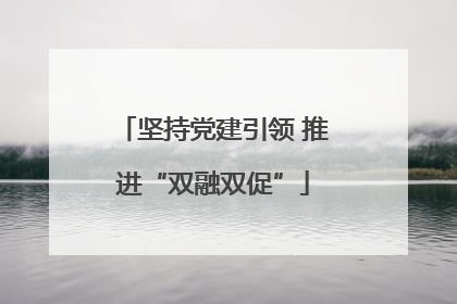 坚持党建引领 推进“双融双促”
