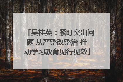 吴桂英：紧盯突出问题 从严整改整治 推动学习教育见行见效