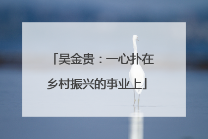 吴金贵：一心扑在乡村振兴的事业上