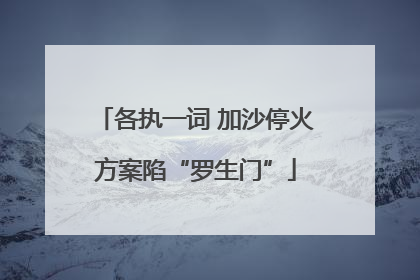 各执一词 加沙停火方案陷“罗生门”