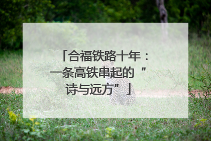 合福铁路十年：一条高铁串起的“诗与远方”