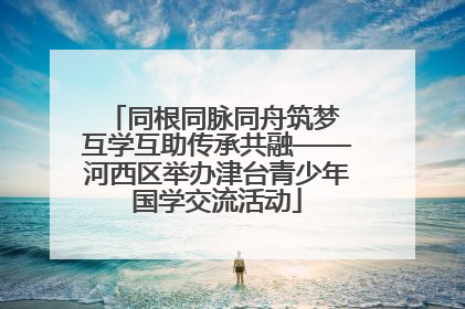 同根同脉同舟筑梦 互学互助传承共融——河西区举办津台青少年国学交流活动