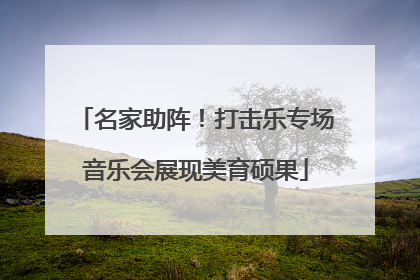 名家助阵！打击乐专场音乐会展现美育硕果