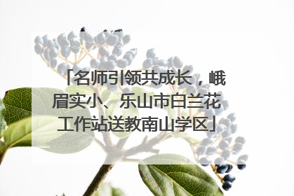 名师引领共成长，峨眉实小、乐山市白兰花工作站送教南山学区