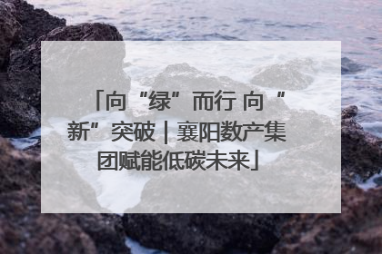 向“绿”而行 向“新”突破｜襄阳数产集团赋能低碳未来