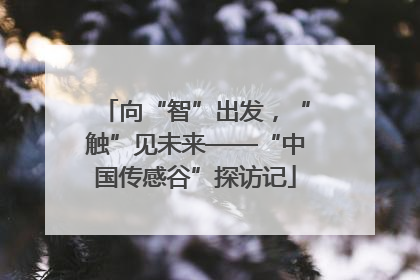向“智”出发，“触”见未来——“中国传感谷”探访记
