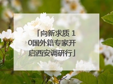 向新求质 10国外籍专家开启西安调研行
