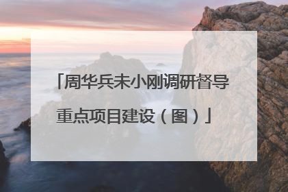 周华兵未小刚调研督导重点项目建设（图）