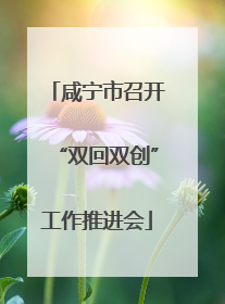 咸宁市召开“双回双创”工作推进会