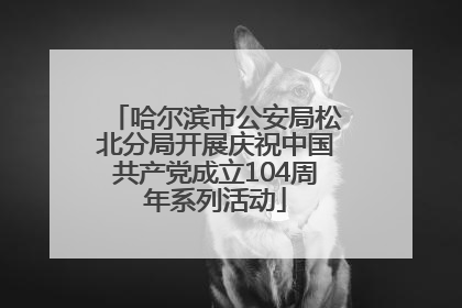哈尔滨市公安局松北分局开展庆祝中国共产党成立104周年系列活动